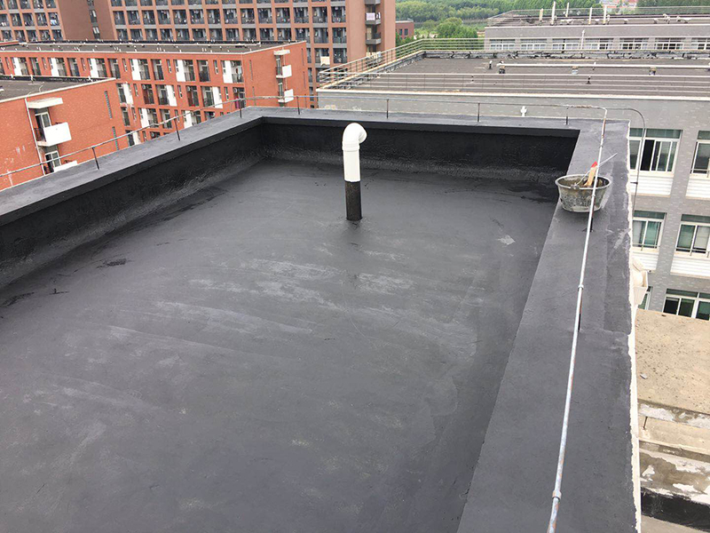 新華學院